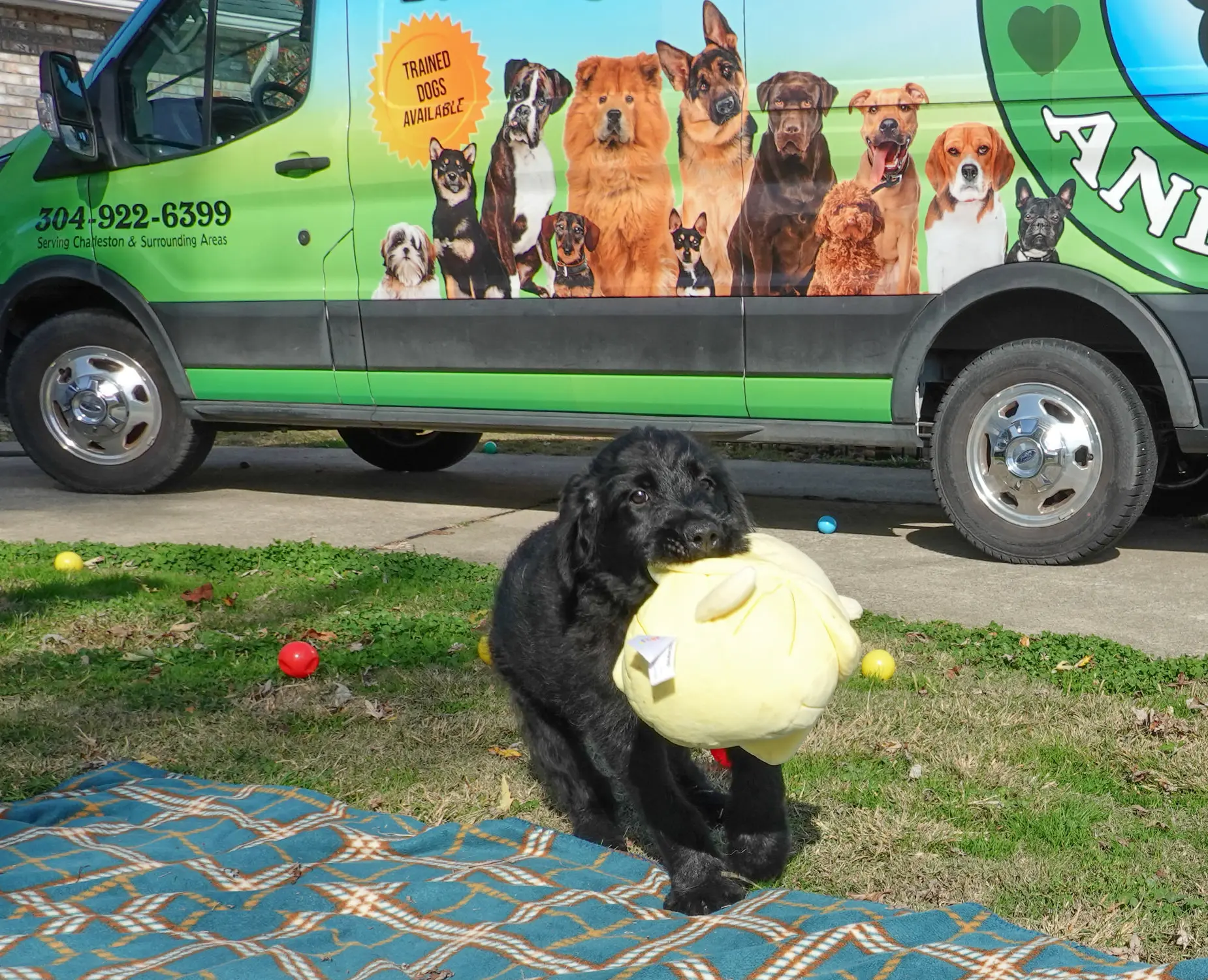 processed/538253a8-3ad3-4c76-9da5-e625e778cb23/listing/68a8835b-3d33-43a6-8e45-1c3dd3faab30/4703149a-7d0e-401a-a079-3398478bcba7