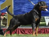 processed/538253a8-3ad3-4c76-9da5-e625e778cb23/listing/9d7d8b35-7ac2-4431-987e-f24a754f0757/abfc96cc-c5bd-4d41-b838-51f3f4cadbf2