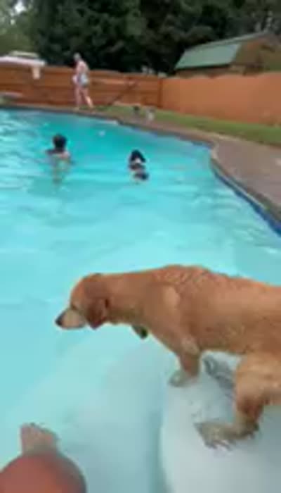 Facility video