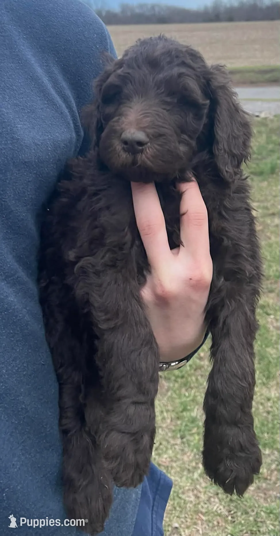 processed/5383de05-c074-4c2e-ad4a-c4a6fa47520c/listing/01185c31-783e-4a02-abf9-76707c355206/5ff90559-44ba-4db3-b5d0-f87e4a0cd1ce