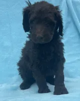 processed/5383de05-c074-4c2e-ad4a-c4a6fa47520c/listing/01185c31-783e-4a02-abf9-76707c355206/a63f69d5-8d39-492b-9fc0-872bb122e75f