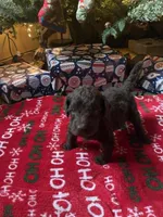 processed/5383de05-c074-4c2e-ad4a-c4a6fa47520c/listing/01185c31-783e-4a02-abf9-76707c355206/de883c30-915a-414a-bd7d-a5434b2abb84