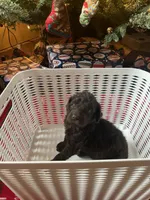 processed/5383de05-c074-4c2e-ad4a-c4a6fa47520c/listing/01185c31-783e-4a02-abf9-76707c355206/f3f8b07e-13c8-4d43-b5dd-39e36d2299bf