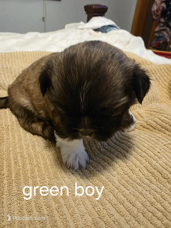green boy