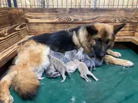 processed/538fd16a-bceb-4708-9a7f-8a3d6e7c82da/facility/e6730a50-2e11-4118-8e65-a2e26102c7cd