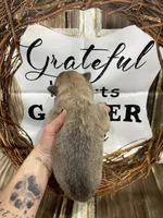 processed/538fd16a-bceb-4708-9a7f-8a3d6e7c82da/listing/006f01f1-1ffa-4af7-a619-4803aca4fde3/17844277-cdda-418a-ac4e-613c8604c1ab