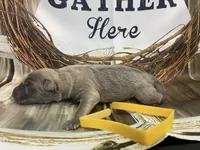 processed/538fd16a-bceb-4708-9a7f-8a3d6e7c82da/listing/006f01f1-1ffa-4af7-a619-4803aca4fde3/26d71045-7914-46d7-bbe9-597983dc9a27