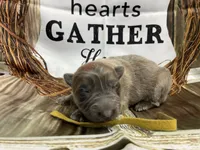 processed/538fd16a-bceb-4708-9a7f-8a3d6e7c82da/listing/006f01f1-1ffa-4af7-a619-4803aca4fde3/89b92465-83be-481b-a9de-f46157621487