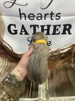 processed/538fd16a-bceb-4708-9a7f-8a3d6e7c82da/listing/006f01f1-1ffa-4af7-a619-4803aca4fde3/a63847a7-bb5e-4693-9e38-6d8a8b9920f4