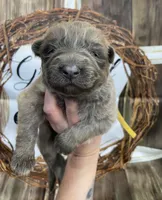 processed/538fd16a-bceb-4708-9a7f-8a3d6e7c82da/listing/006f01f1-1ffa-4af7-a619-4803aca4fde3/afb4868d-a508-4faf-803a-35f0bcdd8d6e