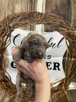 processed/538fd16a-bceb-4708-9a7f-8a3d6e7c82da/listing/006f01f1-1ffa-4af7-a619-4803aca4fde3/dd85a0a6-6c93-457a-8f97-170f9f379a04