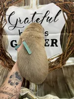 Blue collar, a male German Shepherd Dog for sale in Pelham, NC – Photo 3 of 10