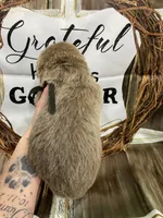 Black collar, a male German Shepherd Dog for sale in Pelham, NC – Photo 3 of 10