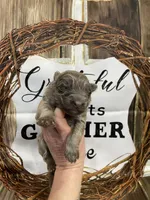 processed/538fd16a-bceb-4708-9a7f-8a3d6e7c82da/listing/5e520707-8e90-45a5-8d4e-24a382b96a20/139e30df-8797-4697-89f7-59808ab5feda