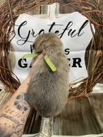 processed/538fd16a-bceb-4708-9a7f-8a3d6e7c82da/listing/5e520707-8e90-45a5-8d4e-24a382b96a20/317901c2-ef62-4a88-81b4-b30a86124164