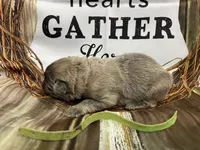 processed/538fd16a-bceb-4708-9a7f-8a3d6e7c82da/listing/5e520707-8e90-45a5-8d4e-24a382b96a20/31a6fbdb-5b40-4354-9821-e1129f365b9a