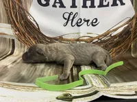 processed/538fd16a-bceb-4708-9a7f-8a3d6e7c82da/listing/5e520707-8e90-45a5-8d4e-24a382b96a20/7d172bde-a6e2-4861-9c33-c1f12d975acc