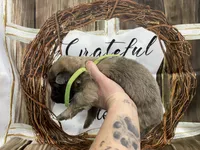 processed/538fd16a-bceb-4708-9a7f-8a3d6e7c82da/listing/5e520707-8e90-45a5-8d4e-24a382b96a20/91e880a2-ab44-4d1c-a23d-0a6ded97f8b6