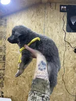 processed/538fd16a-bceb-4708-9a7f-8a3d6e7c82da/listing/6203d6ce-283f-4e6e-a6fb-e07fdf0a9922/1e27af32-90c5-4a7b-a3e1-55c22d8ac9ba