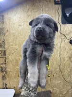 processed/538fd16a-bceb-4708-9a7f-8a3d6e7c82da/listing/6203d6ce-283f-4e6e-a6fb-e07fdf0a9922/5a2ddba4-d442-4347-ac0c-f8755a3d41a5