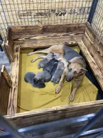 processed/538fd16a-bceb-4708-9a7f-8a3d6e7c82da/listing/6203d6ce-283f-4e6e-a6fb-e07fdf0a9922/8c52f92c-0b86-4b2b-b544-ff2c2c0655ed