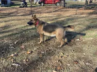 processed/538fd16a-bceb-4708-9a7f-8a3d6e7c82da/listing/6203d6ce-283f-4e6e-a6fb-e07fdf0a9922/968591ba-3348-4c0c-bfb9-f2ed5969389d