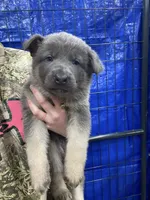 processed/538fd16a-bceb-4708-9a7f-8a3d6e7c82da/listing/6203d6ce-283f-4e6e-a6fb-e07fdf0a9922/a505f85b-1c19-4169-8751-1d4b54821bf9