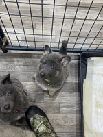 processed/538fd16a-bceb-4708-9a7f-8a3d6e7c82da/listing/6203d6ce-283f-4e6e-a6fb-e07fdf0a9922/b758f5ef-ba7b-4c3a-af89-b5eb09974f31