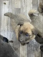 processed/538fd16a-bceb-4708-9a7f-8a3d6e7c82da/listing/79eac283-a8c6-452e-be92-f27629284aaf/0a85ab64-4a9e-498d-a01d-537efdf63e22