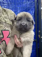 processed/538fd16a-bceb-4708-9a7f-8a3d6e7c82da/listing/79eac283-a8c6-452e-be92-f27629284aaf/3db248d2-a537-4e20-8597-d62577289f52