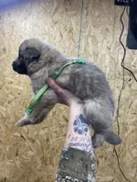 processed/538fd16a-bceb-4708-9a7f-8a3d6e7c82da/listing/79eac283-a8c6-452e-be92-f27629284aaf/8300442e-bad1-4825-9c9a-ebff13798d97