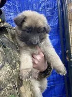 processed/538fd16a-bceb-4708-9a7f-8a3d6e7c82da/listing/79eac283-a8c6-452e-be92-f27629284aaf/9952597b-a1c8-4a1b-be1e-53f8f032baa1