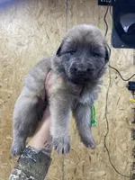 processed/538fd16a-bceb-4708-9a7f-8a3d6e7c82da/listing/79eac283-a8c6-452e-be92-f27629284aaf/c5e33527-8ac4-47f1-a00a-7271008a0188