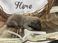 processed/538fd16a-bceb-4708-9a7f-8a3d6e7c82da/listing/a964ff21-579b-496e-9177-d3598a80653c/2d553910-36b9-4d52-a655-014880e1c4f6