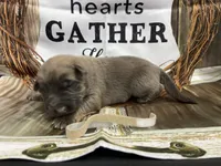 processed/538fd16a-bceb-4708-9a7f-8a3d6e7c82da/listing/a964ff21-579b-496e-9177-d3598a80653c/a86f69d0-94cb-4df7-b66e-002fd6d35da7