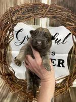 processed/538fd16a-bceb-4708-9a7f-8a3d6e7c82da/listing/a964ff21-579b-496e-9177-d3598a80653c/c34a0bd4-db65-4072-96a3-2b58d1cc984f