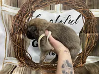 processed/538fd16a-bceb-4708-9a7f-8a3d6e7c82da/listing/a964ff21-579b-496e-9177-d3598a80653c/c4838213-d6bd-4cec-bedc-ddbb457b40ae