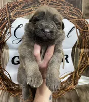 processed/538fd16a-bceb-4708-9a7f-8a3d6e7c82da/listing/a964ff21-579b-496e-9177-d3598a80653c/f09d89d5-22e7-4186-9d3a-476c31ebeed2