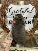 Hot Pint collar, a female German Shepherd Dog for sale in Pelham, NC – Photo 3 of 10