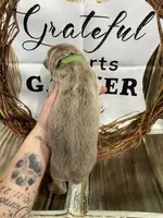 Green, a male German Shepherd Dog for sale in Pelham, NC – Photo 6 of 10