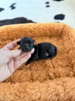 processed/53957996-2ffa-444e-bc8d-b15587e635eb/listing/4292f77d-3510-4837-9f9f-4994f9cd1edd/4cf00bcd-0da0-413c-94cd-428c27acf5ae