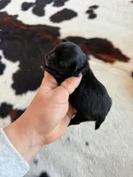 processed/53957996-2ffa-444e-bc8d-b15587e635eb/listing/62b2d958-6e1f-4313-b015-f19dff8cad3e/d2a1cdb2-c0a8-4a18-9a8a-95e1d2279a34