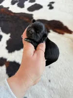 processed/53957996-2ffa-444e-bc8d-b15587e635eb/listing/62b2d958-6e1f-4313-b015-f19dff8cad3e/f89fe042-8316-49cf-90e0-ce73c9b6793e