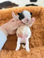 processed/53957996-2ffa-444e-bc8d-b15587e635eb/listing/67f945fe-d6ae-46db-a112-855474a033f8/23ced6b5-6ba2-474c-812e-21e7ef4c1d74