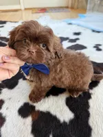 processed/53957996-2ffa-444e-bc8d-b15587e635eb/listing/a824ccc8-0a2b-4dbd-8937-dfe3c95664a2/396a68c1-7d04-46ac-b4bd-49eb881f3742