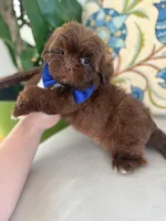 processed/53957996-2ffa-444e-bc8d-b15587e635eb/listing/a824ccc8-0a2b-4dbd-8937-dfe3c95664a2/d37f1ef1-a8e5-4a97-89ea-db2a6fe10d88