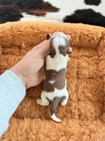 processed/53957996-2ffa-444e-bc8d-b15587e635eb/listing/f9f114c2-de98-4379-a0c0-3fb87560e136/5b511167-239f-4e4b-ae08-5811d3c59296