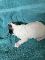 processed/539e76d2-7c17-4227-9488-b256e3bc7abe/listing/31672af3-8cd5-4a99-9b6f-412bd7ea06ce/99c0babf-5c21-4f2b-b5fc-a0f4ca044d7c