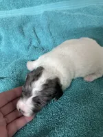 processed/539e76d2-7c17-4227-9488-b256e3bc7abe/listing/31672af3-8cd5-4a99-9b6f-412bd7ea06ce/aabca487-af28-4ba7-a35f-c025925c6dac