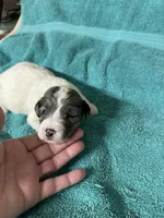 processed/539e76d2-7c17-4227-9488-b256e3bc7abe/listing/31672af3-8cd5-4a99-9b6f-412bd7ea06ce/b683c356-c66f-4101-b0fc-80ff4bedb2a6